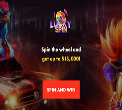 Rooster Bet Casino Lucky Spin Rewards